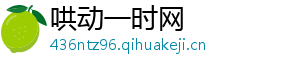 哄动一时网
